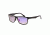 Breed Breed Vulpecula Sunglasses, Black, Standard BSG029BK