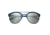 Breed Phoenix Titanium, blue  silver BSG036BL