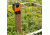 Brinno TLC120 TimeLapse Wi-Fi HD Video 1.3MP Camera, Black, TLC120A-BK
