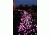Brite Strike APAL, Blue - 10 Pack APALS10-BLU