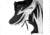 Brooks Ghost 17 Road Running Shoes - Mens