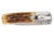Browning 3220500B Buckmark Hunter Folding Boxed