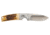 Browning Buckmark Hunter Fixed Blade Knife, 3in, 8Cr13MoV Drop Point Blade, Brown Jigged Ox Bone Handle, Boxed, 3220509B
