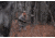 Browning X-Bolt 2 Speed Bolt Action Rifle, .300 Winchester Magnum, 26in Barrel