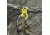 Browning Double Barrel AP Camo Table, Two-Leveled, 27in. X 27in. X 26in. 77319