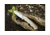 Browning OPMOD Folder Knife Limited Edition - Drop Point Blade, Sand 322658