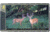 Browning Trail Cameras Trail Camera Viewer, BTC VWR