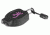 Browning Zipper Pull Keychain Light 1 White LED 13 Lumens, 1 Green LED 6 Lumens,Minnow Folding Pocketknife,Pink/Black 3710063