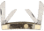 Buck Creek Bobcat Stainless Knife BUC664RPB