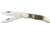 Buck Creek Folding Hunter Knife - 5 1/8 in. Closed BUC069DS
