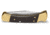 Buck Knives Auto Folding Knife, 3 3/4in 420HC Stainless Steel Blade, Ebony/Brass, 0110BRSA