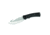 Buck Knives Bucklite Max - Lg Guthook Clam - 0679BKG3246