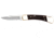 Buck Knives Folding Hunter Knife, 3.75 in, 420HC, Ebony, Wood/Gold, 0110BRSB/9210