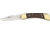 Buck Knives Model 110 Folding Hunter Knife BU110BRSCB