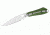 Buck Knives Thorn Outdoor Fixed Blade Knife, Green 0017GRS