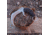 BucknBear Velociraptor Claw Karambit with G10 Handle, Black, Silver, BNB1066KAS