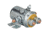 Bulldog Winch Solenoid Replacement for Truck Winch, 20088
