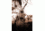 Bushnell 8MP Trophy Cam HD Wireless 119599C