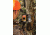 Bushnell 8MP Trophy Cam HD Wireless 119599C