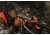 Bushnell Legend Ultra HD 12-36x50 ED Glass Black Spotting Scope, Straight 786350ED