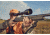 Bushnell Trophy Xtreme, 4-16x44, 30mm, DOA LR600, Matte, BOX 6L 754164B