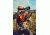 Bushnell Trophy Xtreme, 4-16x44, 30mm, DOA LR600, Matte, BOX 6L 754164B