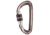 C.A.M.P. Photon Lock Carabiner (Screwgate)