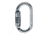 C.A.M.P. Steel Oval 2Lock Carabiner