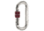 C.A.M.P. Steel Oval Lock Carabiner (Screwgate)