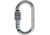 C.A.M.P. Steel Oval Lock Pro Carabiner
