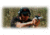 C-MORE Serendipity Red Dot Sight w/Click Switch,Frame Width .830in, Black, 12 MOA CSL830B-12
