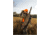 Caldwell Fast Case Gun Cover, Fits Rifles/Shotguns, 40-54 Inches, 110039