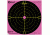 Caldwell Orange Peel 12-in Bullseye Targets, 5 Sheets, Pink 317536