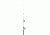 Calypso Mako 8ft. MH 1Bb Sw Spin Combo 275156
