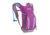 CamelBak Mini-M.U.L.E. Kids Hydration Pack-Sheer Lilac/Purple Cactus Flower