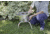 Camp Chef Maximum Single Round Stove, 1 x Burner SHPRLCC