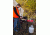 Camp Chef Explorer 14 1X Single Burner Stove, Red/Black SB30D