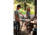 Camp Chef Professional 32in x 15in Steel Griddle, 32in Length x 15in Width Griddle, Black, SG60