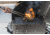 Camp Chef Smokepro BBQ Sear Box, Black, PGSEAR