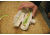 Camp Chef Sushezi, Sushi Maker SUZCC