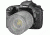 Canon EOS 7 D Digital SLR Camera Kit - Body Only 3814B004
