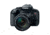 Canon EOS Rebel T7i EF-S 18 - 135mm IS STM Kit, Black, 1894C003