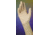 Cardinal Health Gloves Esteem Cp Str 8 CS200PR 2Y72PL80