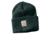 Carhartt Acrylic Watch Hat for Womens, Canopy Green, One Size Fits All WA018-365-OFA