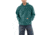 Carhartt Midweight Hooded Pullover Sweatshirt - Men's, Blue Green, Small/Regular, K121-442-REG-SML