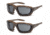 Carhartt Carthage Safety Glasses w/Gray Anti-Fog Lens, Realtree, Pack of 2