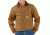 Carhartt Duck Traditional Jacket for Mens, Carhartt Brown, 2XL/Regular J002-BRN-REG-XXL