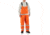 Carhartt Flame-Resistant Rainwear Bib Overall, Bold Orange, 2XL/Tall 100445-827-TLL-2XL