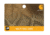 Carhartt Multi-Tool, Steel 8948330005