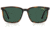 Carrera 259/S Sunglasses, Dark Havana Frame, Green Lens, 716736361208